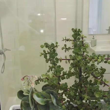 Beautiful Arrieta Апартаменты *